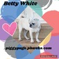 Betty White